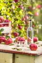 Apple brandy distillate with apples on garden table.