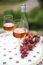 Two glasses and bottle of rose wine in autumn vineyard on marble table Royalty Free Stock Photo