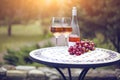 Two glasses and bottle of rose wine in autumn vineyard on marble table Royalty Free Stock Photo