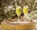 Two glasses of bubbly champagne Royalty Free Stock Photo