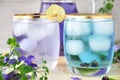 Two Glasses of Butterfly Pea Juice Royalty Free Stock Photo