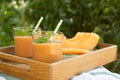 Two glasses of cantaloupe smoothie with mint leaves on a wooden tray in the garden. Cantaloupe melon slices on white plate near