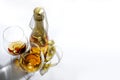 Two glasses of champagne and bottle. Royalty Free Stock Photo