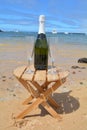 Two Glasses Of Champagne And Bottle In Paradise Island Royalty Free Stock Photo