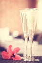 Two glasses of champagne with red flower in a spa lounge. Spa ti Royalty Free Stock Photo