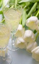 Two glasses with champagne and tulips on a blue background