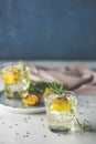Two glasses of Charred Lemon, Rosemary and Coriander Gin and Tonic is a flavors are perfectly balanced refreshing cocktail. on Royalty Free Stock Photo