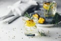 Two glasses of Charred Lemon, Rosemary and Coriander Gin and Tonic is a flavors are perfectly balanced refreshing cocktail Royalty Free Stock Photo