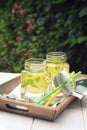 Two glasses of cool pure water with lemon and mint in the garden Royalty Free Stock Photo
