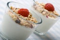 Two glasses of deliciously fresh yogurt and muesli