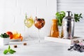 Two glasses with drink and Cocktail shaker for preparing a summer cocktail with a place for your subject and text Royalty Free Stock Photo