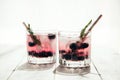 Two glasses of drinks with blueberries and rosemary sprigs. Summer cocktails and fresh drinks concept with various fresh berries
