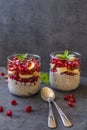 Almond milk chia seeds pudding, pomegranate seeds, banana slices & fresh mint leaves against dark background Royalty Free Stock Photo