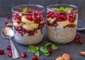 Two glasses filled with almond milk chia seeds pudding, pomegranate seeds, banana slices & fresh mint leaves against dark backgrou Royalty Free Stock Photo