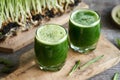 Two glasses of fresh barley grass juice with homegrown barleygrass blades Royalty Free Stock Photo