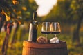 Two glasses full of red wine and a bottle in the vineyard Royalty Free Stock Photo