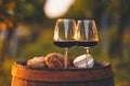 Two glasses full of red wine in the vineyard Royalty Free Stock Photo