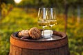 Two glasses full of white wine on an old barrel Royalty Free Stock Photo
