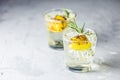 Two glasses of Gin and Tonic with Charred Lemon, Rosemary and Coriander is a flavors are perfectly balanced refreshing cocktail. Royalty Free Stock Photo