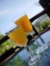 Two glasses goblet with freshly squeezed fruit juice, beautiful blue sky and green landscape background Royalty Free Stock Photo