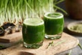 Two glasses of green barley grass juice with freshly grown blades Royalty Free Stock Photo