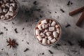 Two glasses of hot cocoa with marshmallow and chocolate chips on a background of scattered cloves, chocolate, star anise and Royalty Free Stock Photo