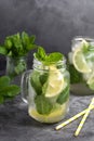 Two glasses of ice tea with fresh mint, lemon and paper straw on dark background. Summer healthy cold drink. Alternative medicine Royalty Free Stock Photo