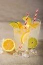 Two glasses of lemonade with lemons and lime and straw, a cool drink and summer mood, with ice