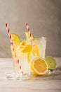 Two glasses of lemonade with lemons and lime and straw, a cool drink and summer mood, with ice