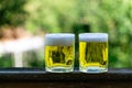 Two glasses of light beer on a green nature background Royalty Free Stock Photo