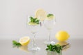 Mineral water with lemon and fresh mint