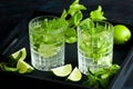 Mojito cool cocktail of lime, mint and soda, in glass with ice