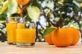 Two glasses of orange juice on nature background. Fruit concept Royalty Free Stock Photo