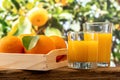 Two glasses of orange juice on nature background. Fruit concept Royalty Free Stock Photo