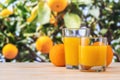 Two glasses of orange juice on nature background. Fruit concept Royalty Free Stock Photo