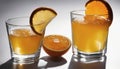 Two glasses of orange juice with orange slices Royalty Free Stock Photo