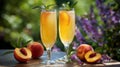 Two glasses of peach juice with a slice of peach on the side Royalty Free Stock Photo
