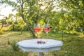 Two glasses of pink wine and cherries on the beautiful white table in the blooming garden Royalty Free Stock Photo