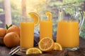 Two glasses and pitcher of orange juice with summer rural background Royalty Free Stock Photo