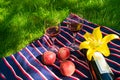 Two glasses of red wine, on a background of grass. The concept of a romantic picnic in nature. Royalty Free Stock Photo