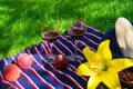 Two glasses of red wine, on a background of grass. The concept of a romantic picnic in nature. Royalty Free Stock Photo