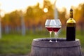 Two glasses of red wine and bottle in vineyard Royalty Free Stock Photo