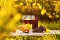 Two glasses of red wine and bottle Royalty Free Stock Photo