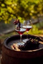 Two glasses of red wine with a bottle on a wooden barrel Royalty Free Stock Photo