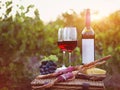 Two glasses of red wine with bread, meat, grape and cheese Royalty Free Stock Photo