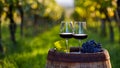 Two glasses of red wine on an old wooden barrel in a vineyard Royalty Free Stock Photo