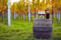 Two glasses of red wine on a wooden barrel Royalty Free Stock Photo