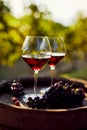 Two glasses of red wine on a wooden barrel Royalty Free Stock Photo