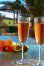 Two glasses of rose bubbles champagne or cava wine served outside on paradise island with palms and green grass