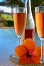 Two glasses of rose bubbles champagne or cava wine served outside on paradise island with palms and green grass